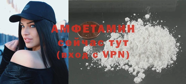 индика Богданович