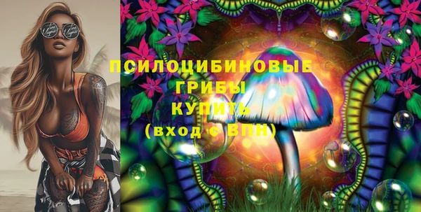 индика Богданович