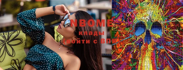 индика Богданович