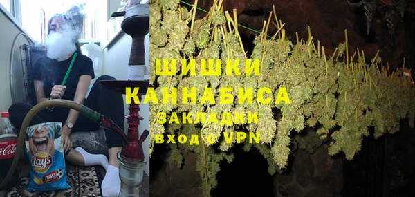 амф Богородицк