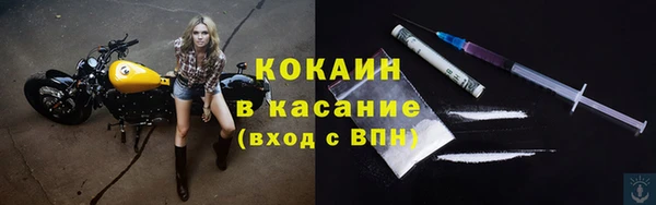молекула духа Богородск