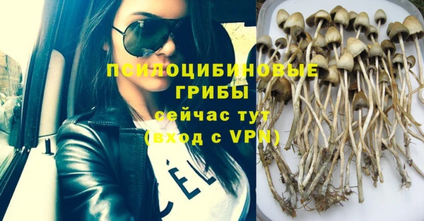 дурь Бородино