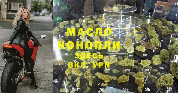 молекула духа Богородск