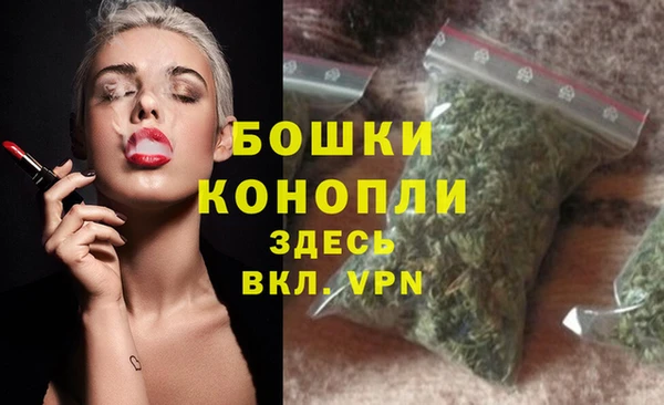 амф Богородицк
