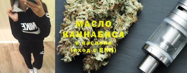 индика Богданович