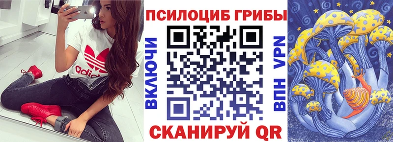 дарнет шоп KRAKEN ССЫЛКА Псилоцибиновые грибы мицелий Наволоки